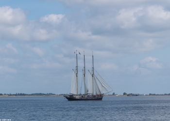 Sjaak 176
